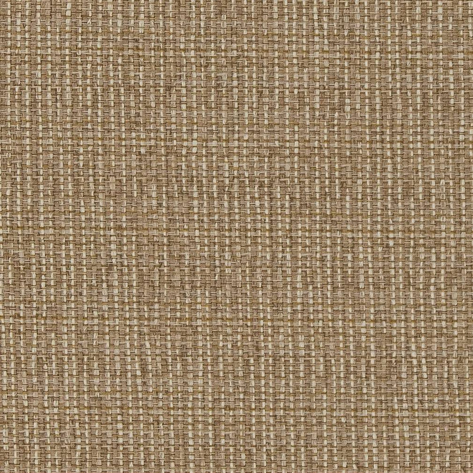 D1610 Almond by Charlotte Designer Fabric Eco Patterns 71% Polypropylene, 29% Polyester Made In USA Exceeds 60,000 Wyzenbeek Rubs (Heavy Duty) No Repeat 54 Inches - Swanky Fabrics -