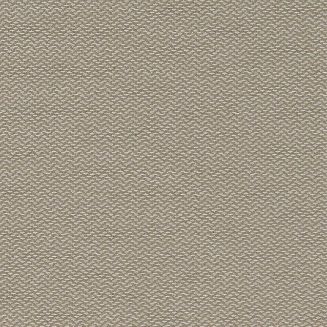 D1625 Cloud by Charlotte Designer Fabric Eco Patterns 100% Woven Polypropylene Made In USA Exceeds 60,000 Wyzenbeek Rubs (Heavy Duty) No Repeat 54 Inches - Swanky Fabrics -