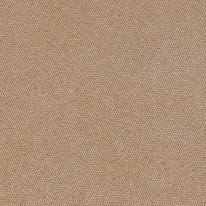D1793 Fawn by Charlotte Designer Fabric Classic Velvet 100% Woven Polyester Asia Exceeds 200,000 Wyzenbeek Rubs (Heavy Duty) No Repeat 54 Inches - Swanky Fabrics -