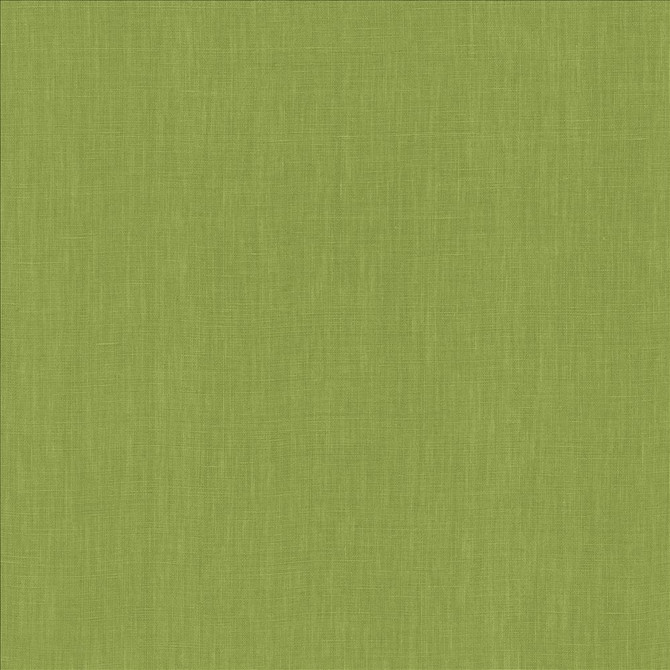 Belgique Basil by Kasmir Designer Fabric 5176 100% Linen
 CHINA </p><p>Repeat: Horizontal: N/A and Vertical: N/A 55 - 57 - Swanky Fabrics -