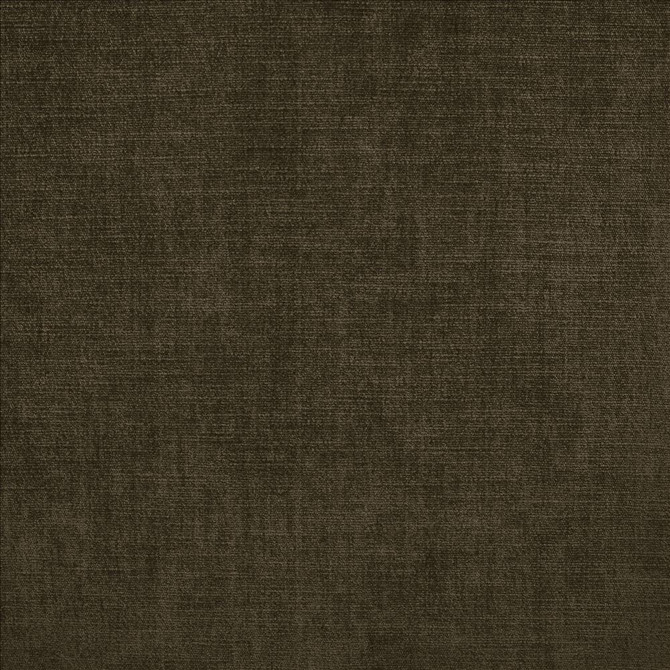 Evermore Coal by Kasmir Designer Fabric 5179 100% Polyester
 INDIA </p><p>Repeat: Horizontal: N/A and Vertical: N/A 54 - Swanky Fabrics -