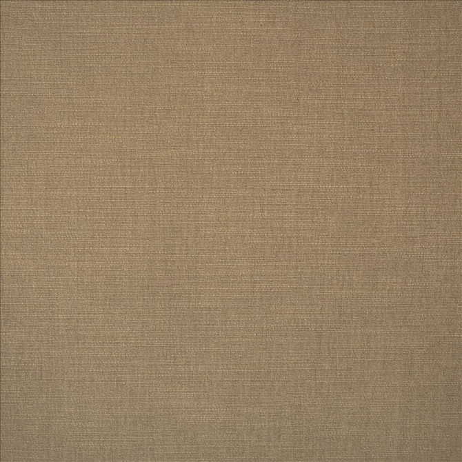Evermore Khaki by Kasmir Designer Fabric 5179 100% Polyester
 INDIA 60,000 Wyzenbeek Double Rubs </p><p>Repeat: Horizontal: N/A and Vertical: N/A 54 - Swanky Fabrics -
