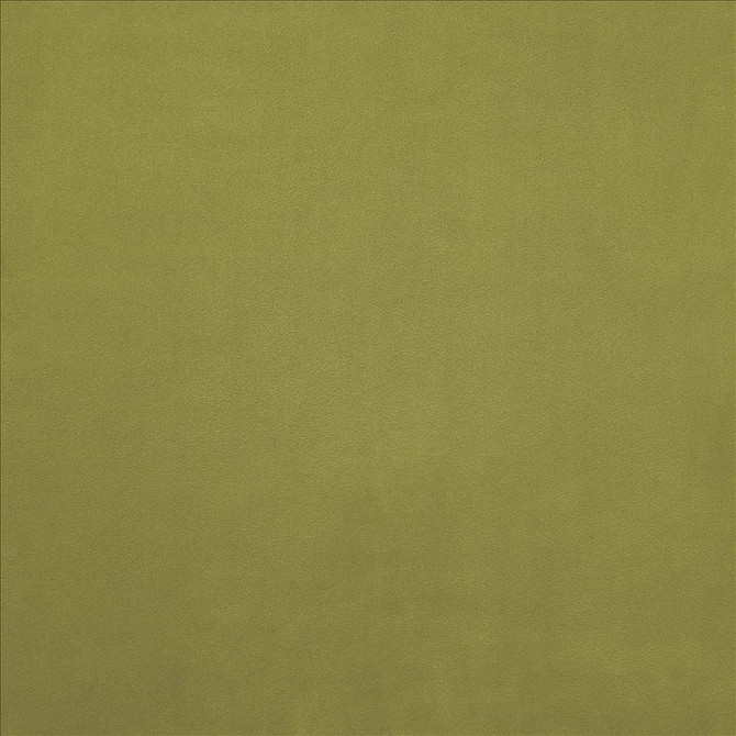 Knockout Gecko by Kasmir Designer Fabric 5177 100% Polyester
 CHINA </p><p>Repeat: Horizontal: N/A and Vertical: N/A 54 - Swanky Fabrics -