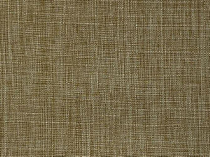 Runway Tawny by Norbar Designer Fabric CONDOR 100% POLYESTER TAIWAN 54" - Swanky Fabrics -