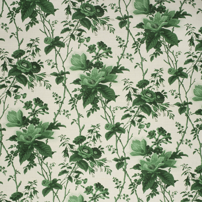 De La Tour Paolos Green by Lee Jofa Designer Fabric PAOLO MOSCHINO FABRICS LINEN - 67%;COTTON - 33% United Kingdom HEAVY Horizontal: 19.88 and Vertical: 23.03 50 - Swanky Fabrics -