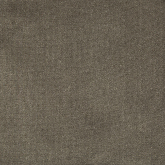 Velvet Treat Grey by Kravet Couture Designer Fabric MODERN COLORS III COTTON - 100% Netherlands HEAVY Horizontal: 0 and Vertical: 0 54 - Swanky Fabrics -