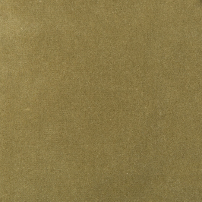 35366-130 by Kravet Design Designer Fabric COTTON - 100% Netherlands HEAVY Horizontal: 0 and Vertical: 0 55 - Swanky Fabrics -