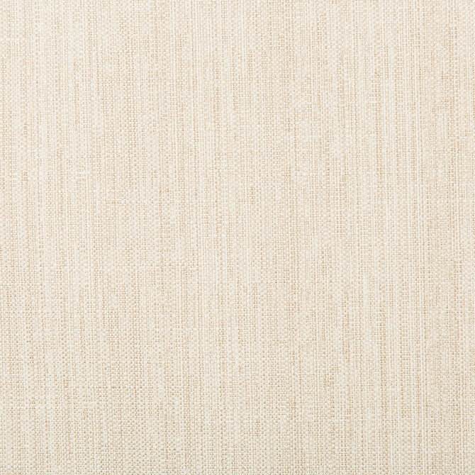 Kravet Basics 4665-1 by Kravet Basics Fabric Kravet Basics Fabric Kravet Basics 4665-1Fabric POLYESTER - 83%;RAYON - 12%;COTTON - 5% India </p><p>Repeat: H: , V: 55 - Fabric Carolina -