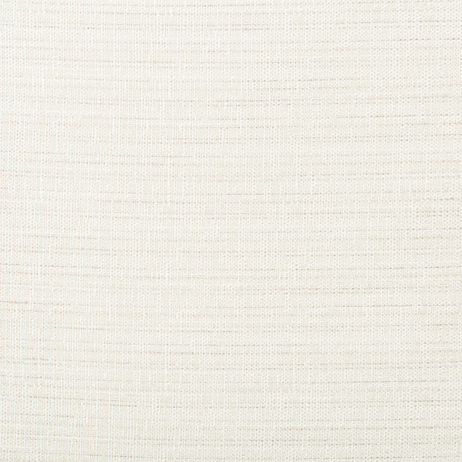 4673-101 by Kravet Basics Designer Fabric POLYESTER - 100% India Horizontal: 0 and Vertical: 0 54 - Swanky Fabrics -