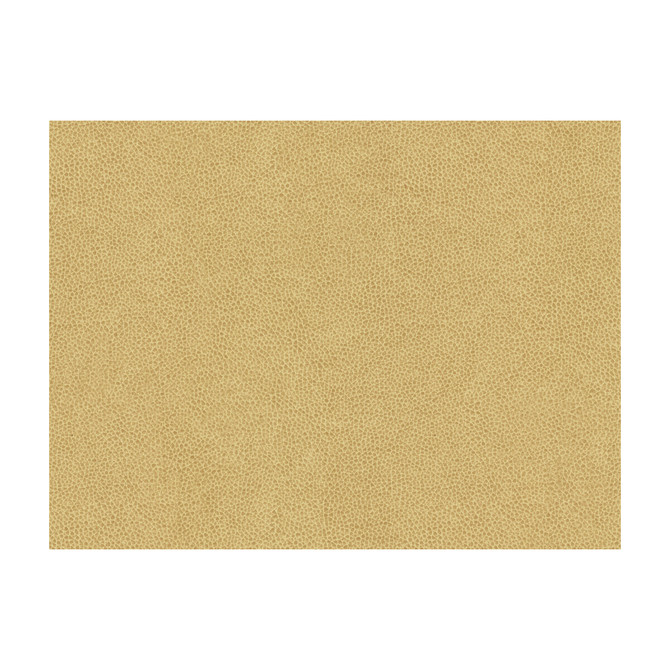 Abilene Dune by Kravet Contract Fabric Kravet Contract Fabric Abilene DuneFabric POLYURETHANE - 100% China </p><p>Repeat: H: , V: 54 - Fabric Carolina -