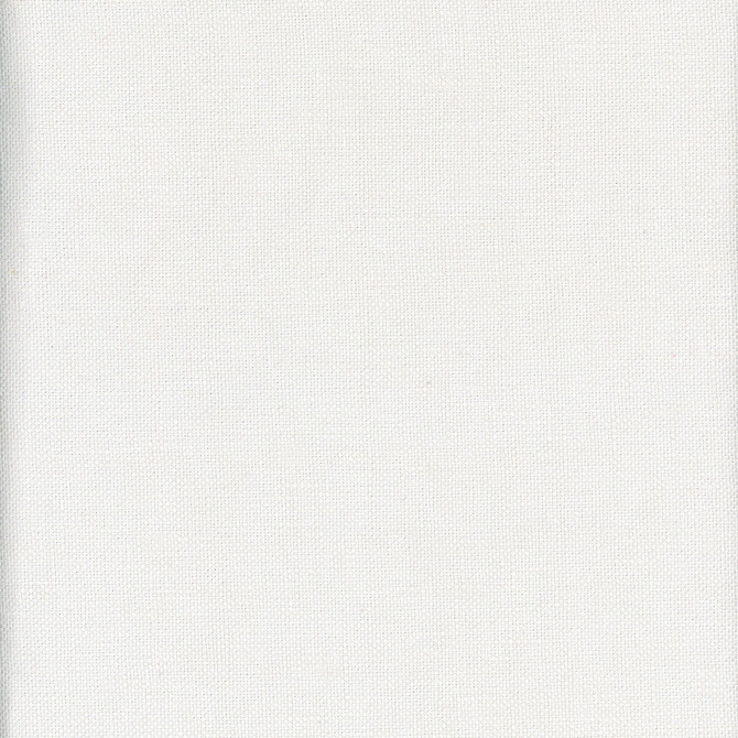 Beagle Journal by Kravet Couture Designer Fabric ANDREW MARTIN BEAGLE LINEN - 100% China MEDIUM Horizontal: 0 and Vertical: 0 57 - Swanky Fabrics -