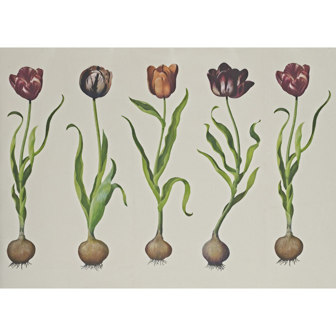Tulips 310 by Kravet Couture Designer Wallcovering ANDREW MARTIN SCHOLAR WOOD PULP - 45%;BINDER - 20%;MINERAL FILLERS - 20%;POLYESTER - 15% United Kingdom - Horizontal: 110.25 and Vertical: 138 110.25 - Swanky Fabrics -