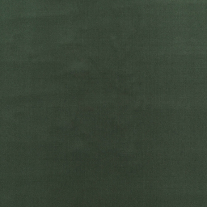 Baker House Velvet Eucalyptus by G P & J Baker Fabric G P & J Baker Fabric Baker House Velvet EucalyptusFabric BAKER HOUSE VELVET COTTON - 89%;POLYESTER - 11% Italy </p><p>Repeat: H: , V: 55.16 - Fabric Carolina -