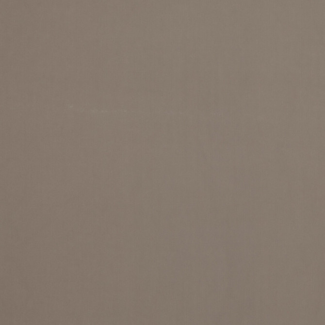 Baker House Velvet Dove by G P & J Baker Designer Fabric BAKER HOUSE VELVET COTTON - 89%;POLYESTER - 11% Italy HEAVY Horizontal: and Vertical: 55.16 - Swanky Fabrics -