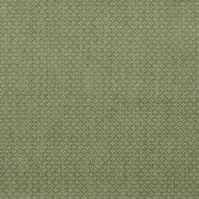 Cavendish Lime by Lee Jofa Designer Fabric BLITHFIELD COTTON - 46%;VISCOSE - 32%;LINEN - 18%;POLYESTER - 4% United Kingdom HEAVY Horizontal: 0.7 and Vertical: 0.8 54.2 - Swanky Fabrics -