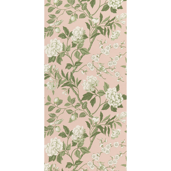 Emperor'S Garden Blush by G P & J Baker Designer Wallcovering SIGNATURE II WALLPAPERS NON WOVEN - 100% United Kingdom Horizontal: 20.488 and Vertical: 24.034 20.488 - Swanky Fabrics -