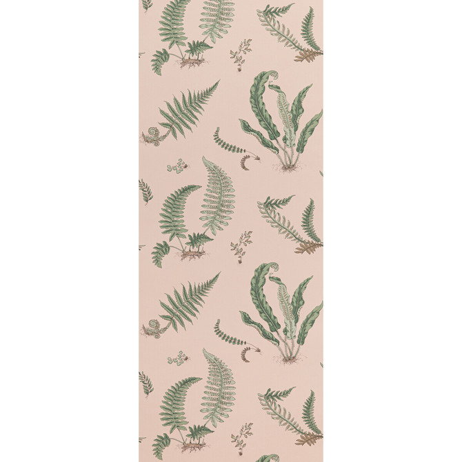 Ferns Blush by G P & J Baker Designer Wallcovering SIGNATURE II WALLPAPERS PAPER - 100% United Kingdom - Horizontal: 20.488 and Vertical: 20.882 20.488 - Swanky Fabrics -