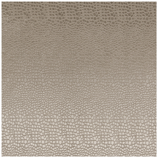 Pulse Ash by Clarke And Clarke Fabric Clarke And Clarke Fabric Pulse AshFabric CLARKE & CLARKE TEMPO VELVETS POLYESTER - 100% China </p><p>Repeat: H: 2.56, V: 8.66 56 - Fabric Carolina -