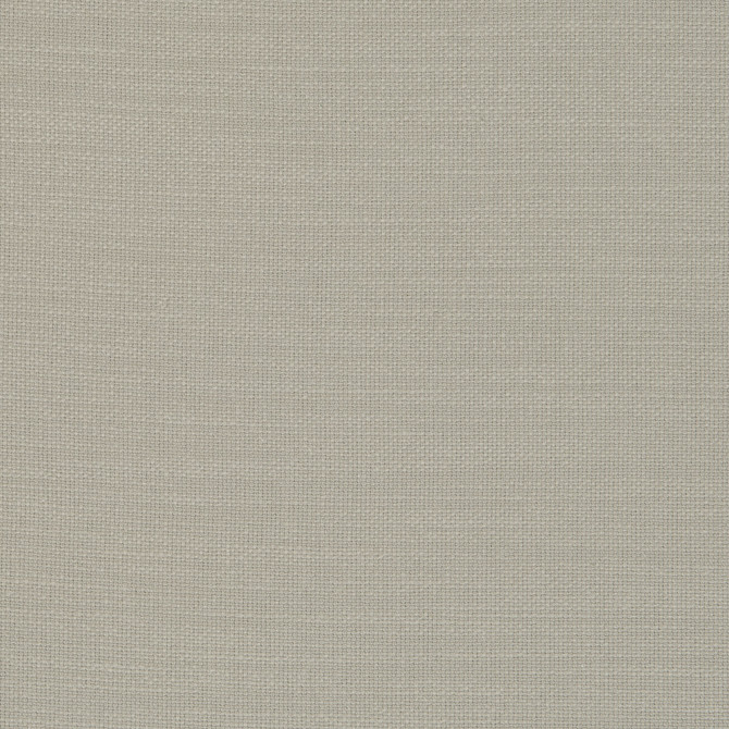 Nantucket Lichen by Clarke And Clarke Designer Fabric CLARKE & CLARKE NANTUCKET COTTON - 100% India HEAVY Horizontal: 0 and Vertical: 0 55 - Swanky Fabrics -