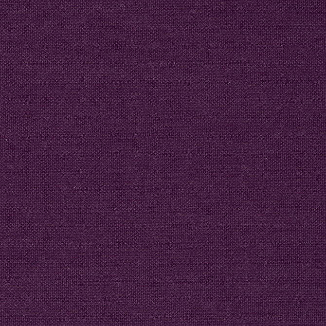 Nantucket Violet by Clarke And Clarke Designer Fabric CLARKE & CLARKE NANTUCKET COTTON - 100% India HEAVY Horizontal: 0 and Vertical: 0 55 - Swanky Fabrics -