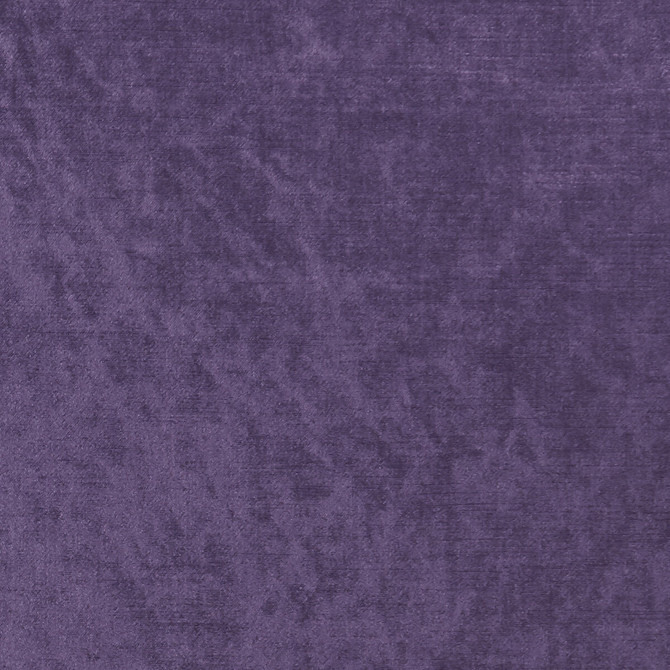 Allure Grape by Clarke And Clarke Designer Fabric CLARKE & CLARKE ALLURE POLYESTER - 100% India HEAVY Horizontal: 0 and Vertical: 0 57 - Swanky Fabrics -