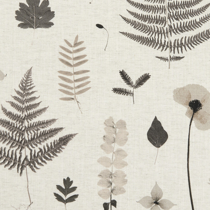 Herbarium Charcoal/Natural by Clarke And Clarke Designer Fabric CLARKE & CLARKE BOTANICA VISCOSE - 70%;LINEN - 30% India HEAVY Horizontal: 54.72 and Vertical: 24.21 55 - Swanky Fabrics -
