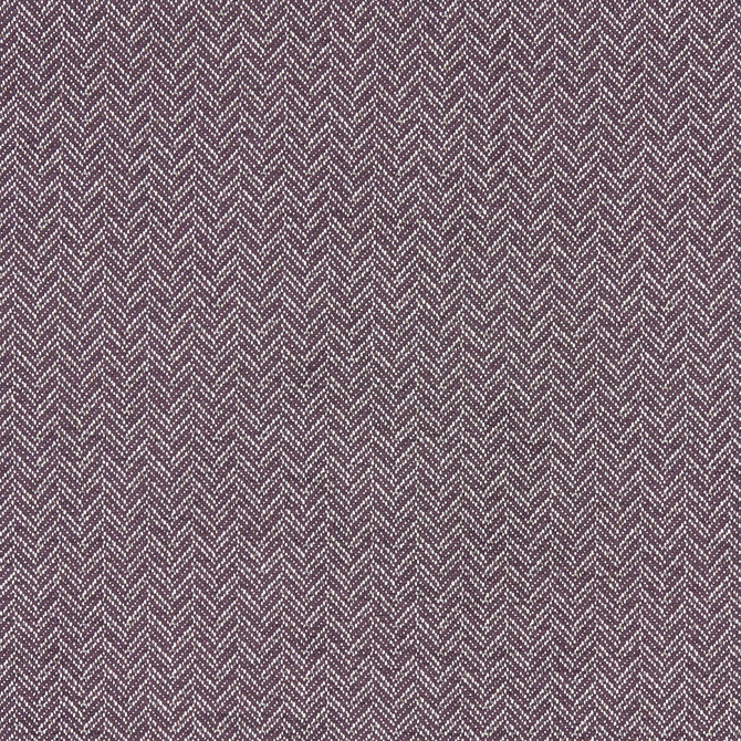Trinity Damson by Clarke And Clarke Designer Fabric CLARKE & CLARKE EQUINOX COTTON - 62%;POLYESTER - 38% Turkey HEAVY Horizontal: 0.75 and Vertical: 0.47 54 - Swanky Fabrics -