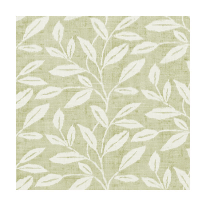 Terrace Trail Sage by Clarke And Clarke Fabric Clarke And Clarke Fabric Terrace Trail SageFabric CLARKE & CLARKE ROOF GARDEN COTTON - 100% Turkey </p><p>Repeat: H: 13.58, V: 6.3 54 - Fabric Carolina -