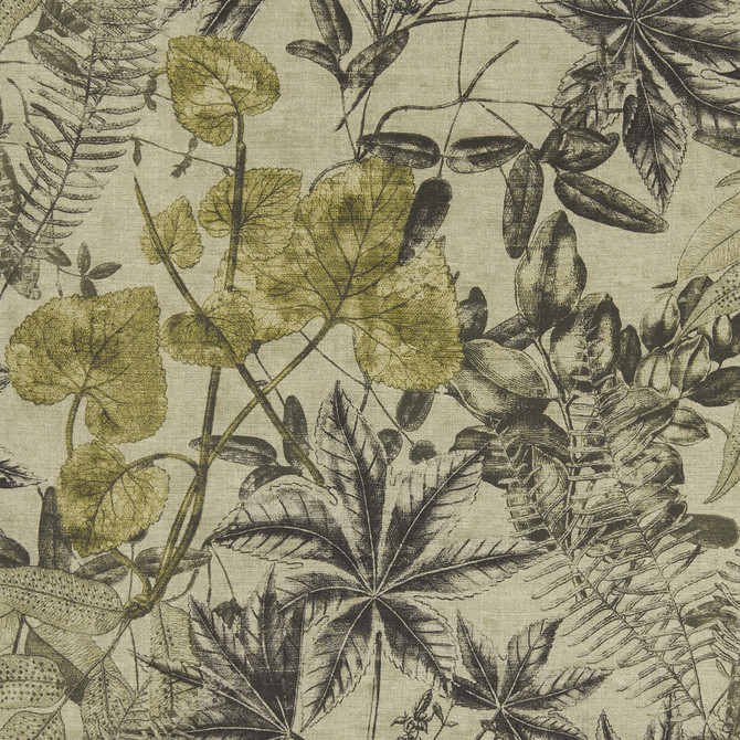Madagascar Charcoal/Charteuse by Clarke And Clarke Fabric Clarke And Clarke Fabric Madagascar Charcoal/CharteuseFabric CLARKE & CLARKE EXOTICA VISCOSE - 75%;LINEN - 25% India </p><p>Repeat: H: 53.125, V: 26.375 54 - Fabric Carolina -