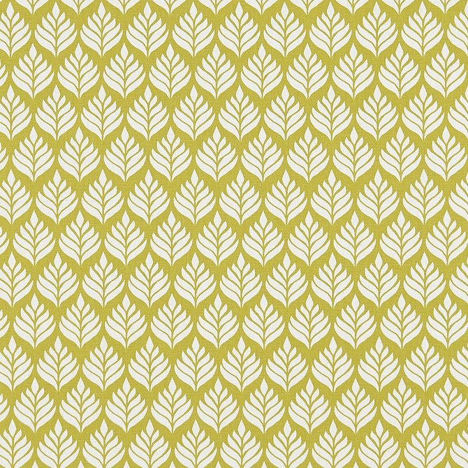 Elise Citrus by Clarke And Clarke Designer Fabric CLARKE & CLARKE CO-ORDINATES COTTON - 100% Turkey MEDIUM Horizontal: 1.75 and Vertical: 3.125 54 - Swanky Fabrics -