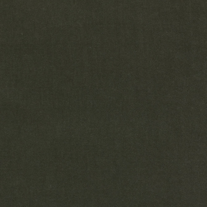 Eternal 29 by Kravet Design Designer Fabric LIZZO COTTON - 100% Spain HEAVY Horizontal: 0 and Vertical: 0 55 - Swanky Fabrics -