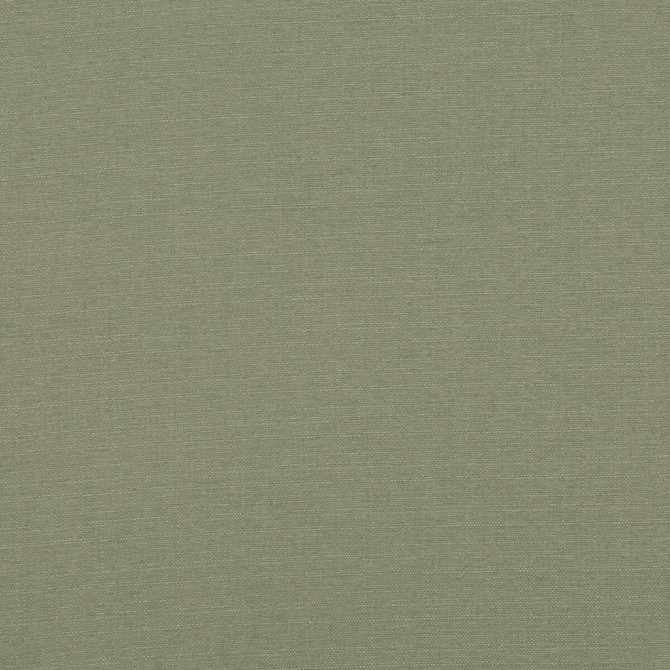 Lansdowne Fern by Baker Lifestyle Designer Fabric NOTEBOOKS POLYESTER - 100% China HEAVY Horizontal: - and Vertical: - 55.16 - Swanky Fabrics -