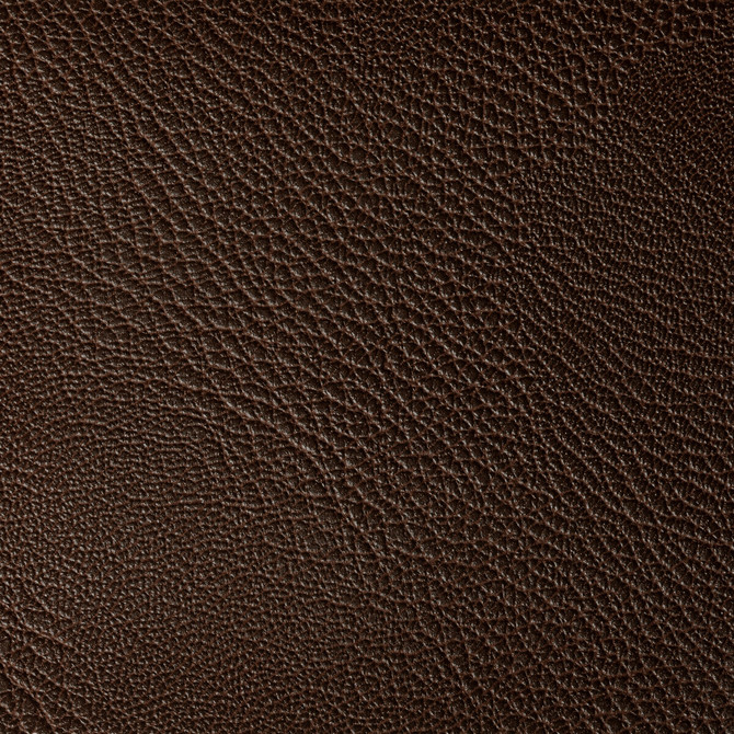 Rustler Bark by Kravet Contract Designer Fabric FOUNDATIONS / VALUE POLY VINYL CHLORIDE - 100% China HEAVY Horizontal: 0 and Vertical: 0 54 - Swanky Fabrics -