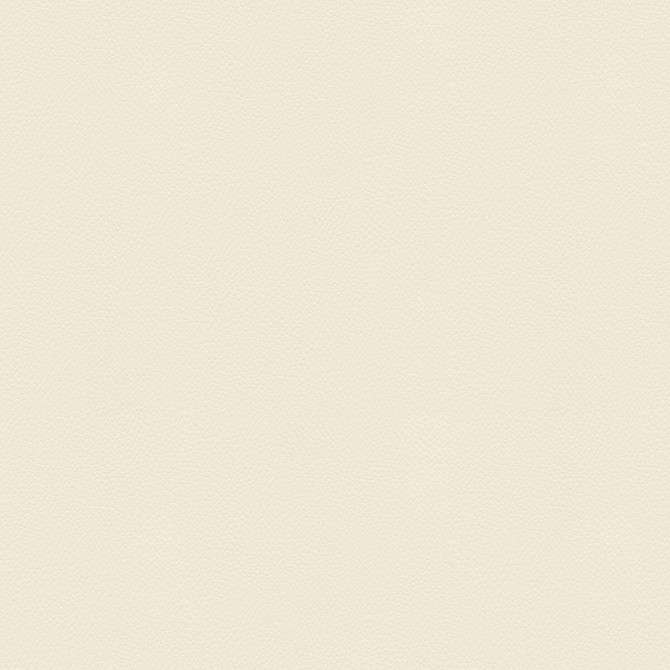 Side Kick Blanc by Kravet Couture Designer Fabric - NYLON - 100% United States HEAVY Horizontal: - and Vertical: - 54 - Swanky Fabrics -