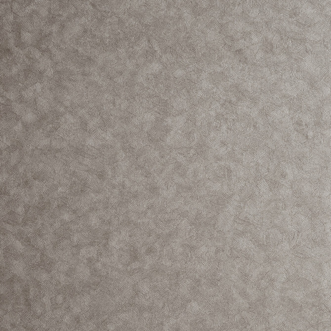Hexagon Pewter by Clarke And Clarke Wallcovering Clarke And Clarke Wallcovering Hexagon PewterWallcovering CLARKE & CLARKE REFLECTIONS WOOD PULP - 74%;BINDER - 13%;POLYESTER - 13% United Kingdom </p><p>Repeat: H: 20.875, V: 0 20.875 - Fabric Carolina -