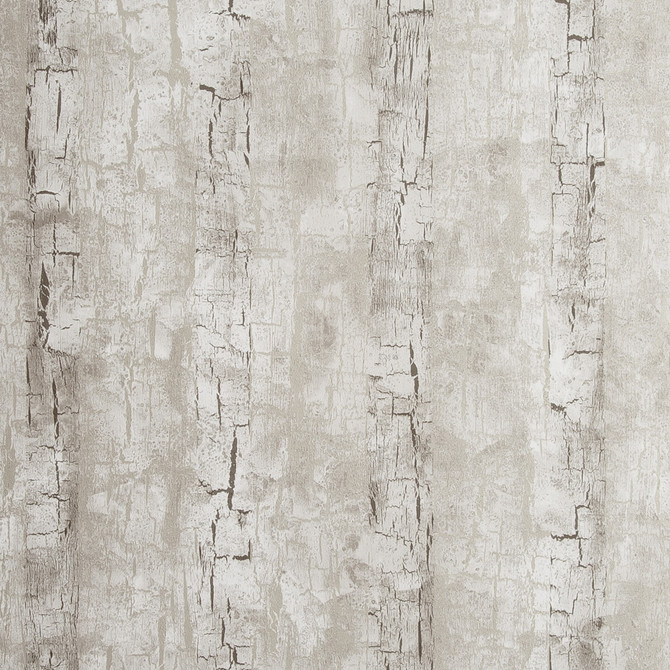 Tree Bark Birch by Clarke And Clarke Designer Wallcovering CLARKE & CLARKE REFLECTIONS WOOD PULP - 74%;BINDER - 13%;POLYESTER - 13% United Kingdom Horizontal: 20.875 and Vertical: 10.5 20.875 - Swanky Fabrics -
