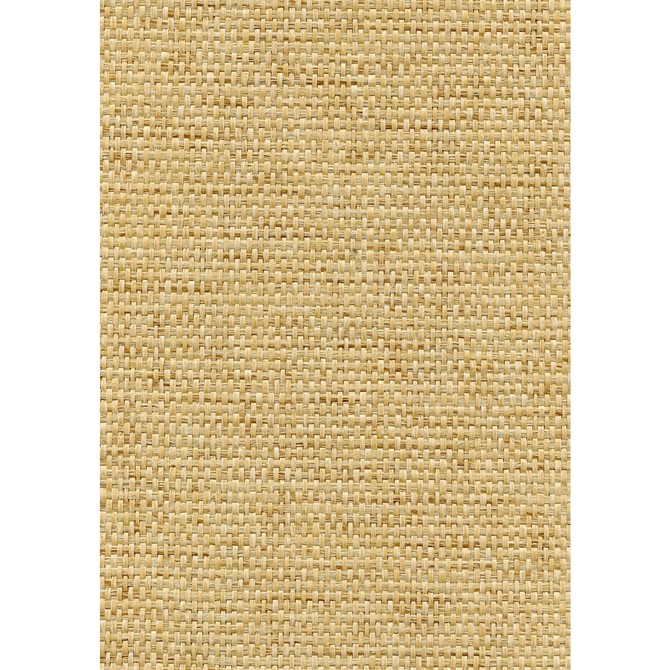 Rosette Weave Blond by Winfield Thybony Designer Wallcovering WINFIELD THYBONY PAPERWEAVE - 100% United States - Horizontal: 0 and Vertical: 0 36 - Swanky Fabrics -