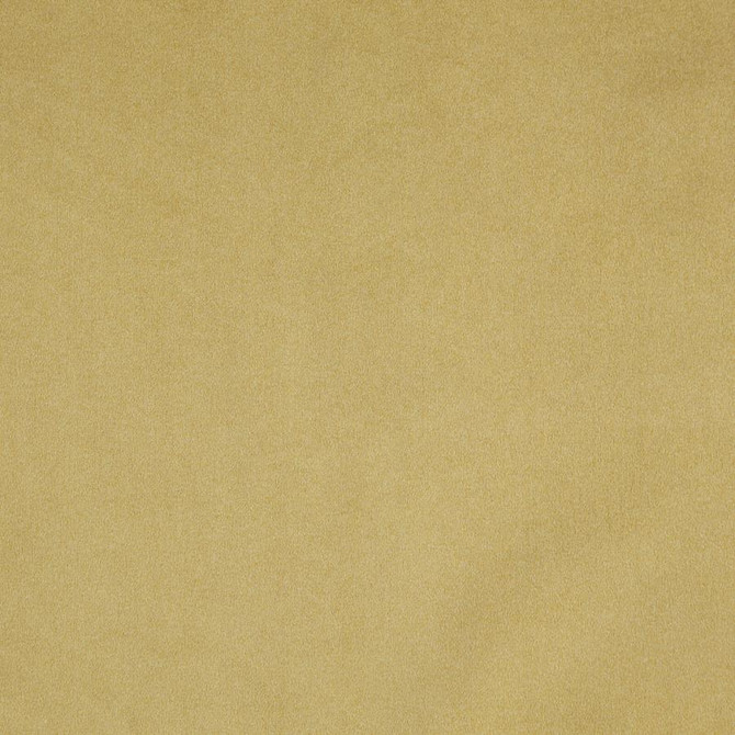 Billiard # 18 Hay by Maxwell Designer Fabric PERFORMANCE VELVETS-VOL.III 100% POLYESTER TURKEY 54" - Swanky Fabrics -