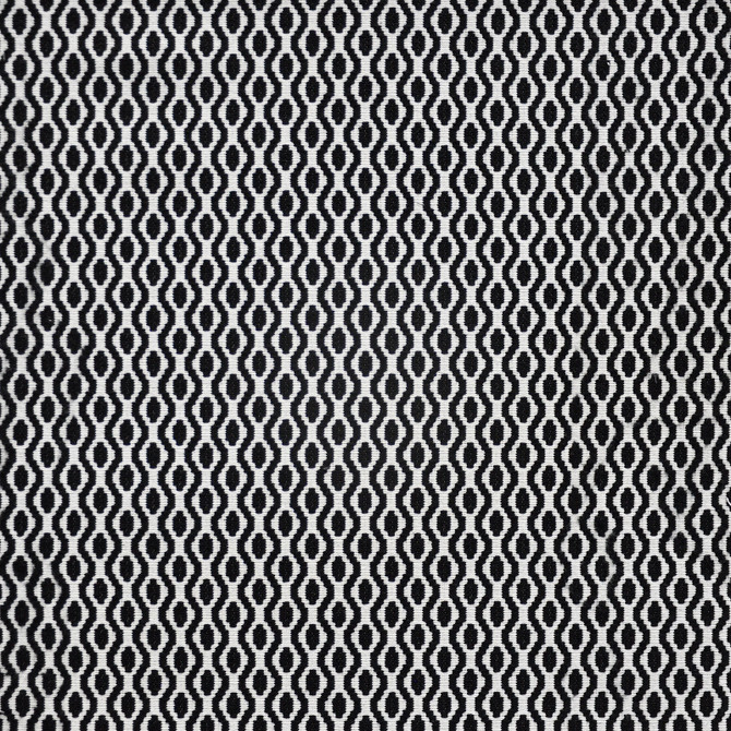 Bird'S Eye # 624 Pongo by Maxwell Designer Fabric Maxwell Right 52.95 71.48   by product