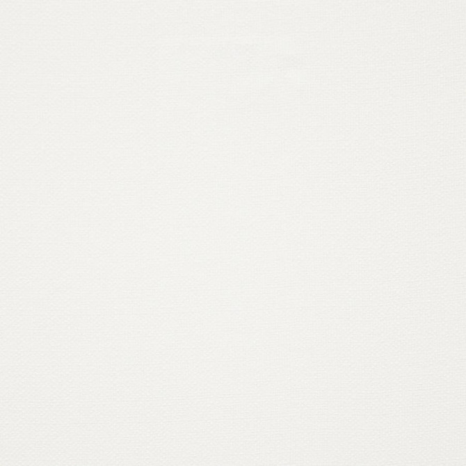 Calder # 108 Gauze by Maxwell Designer Fabric Wide Width Basics 100% POLYESTER TURKEY 118" - Swanky Fabrics -