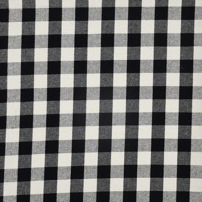Check Please # 135 Domino by Maxwell Designer Fabric Maxwell Right 32.5 43.88   by product