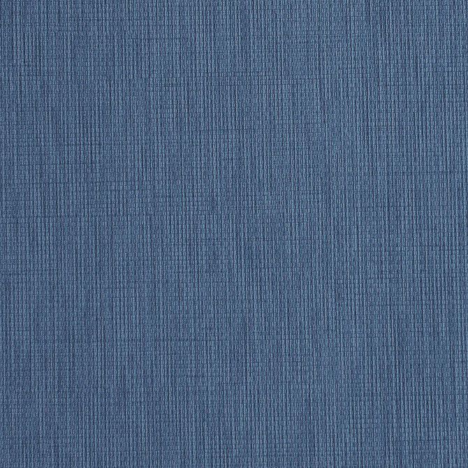 Cinema # 760 Glory by Maxwell Designer Fabric EASY RIDER VII 100% POLYURETHANE BACKING: 100% POLYESTER CHINA 54" - Swanky Fabrics -