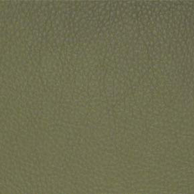 Classic(Contract Vinyl) # 036 Sage by Maxwell Designer Fabric Vinyls I - Contract 100% PVC BACKING-100% POLYESTER TAIWAN 54" - Swanky Fabrics -