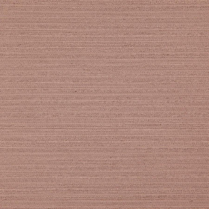 Darwin # 716 Cameo by Maxwell Designer Fabric Pure & Simple Vii 100% POLYESTER INDIA 55" - Swanky Fabrics -