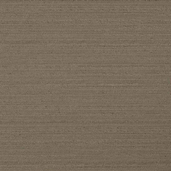 Darwin # 738 Cocoa by Maxwell Designer Fabric PURE & SIMPLE VII 100% POLYESTER INDIA See sample </p><p>Repeat: Horizontal: and Vertical: 55" - Swanky Fabrics -