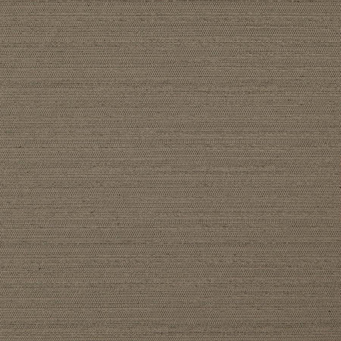 Darwin # 738 Cocoa by Maxwell Designer Fabric PURE & SIMPLE VII 100% POLYESTER INDIA 55" - Swanky Fabrics -