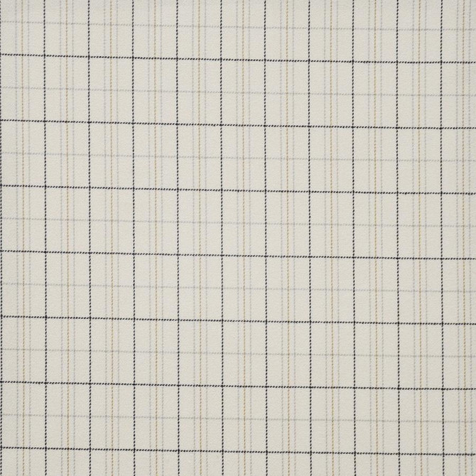 Earl Grey # 640 Highlands by Maxwell Designer Fabric Performance Wovens-Vol.Iv Smokeshow 100% POLYESTER TURKEY V-2"H-1" 54" - Swanky Fabrics -