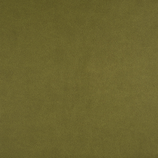 Icon # 741 Spring by Maxwell Designer Fabric EASY RIDER VII FACE: 95% POLYURETHANE/ 5% SILICONE TAIWAN See sample </p><p>Repeat: Horizontal: and Vertical: 54" - Swanky Fabrics -