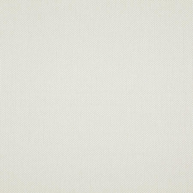 Light Year # 217 Parchment by Maxwell Designer Fabric 100% POLYESTER CHINA 56" - Swanky Fabrics -
