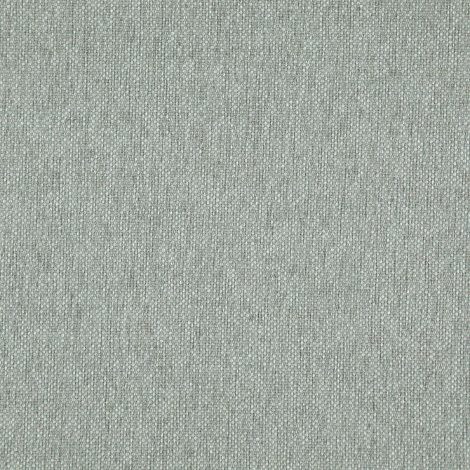 Light Year # 222 Botanical by Maxwell Designer Fabric 100% POLYESTER CHINA 56" - Swanky Fabrics -